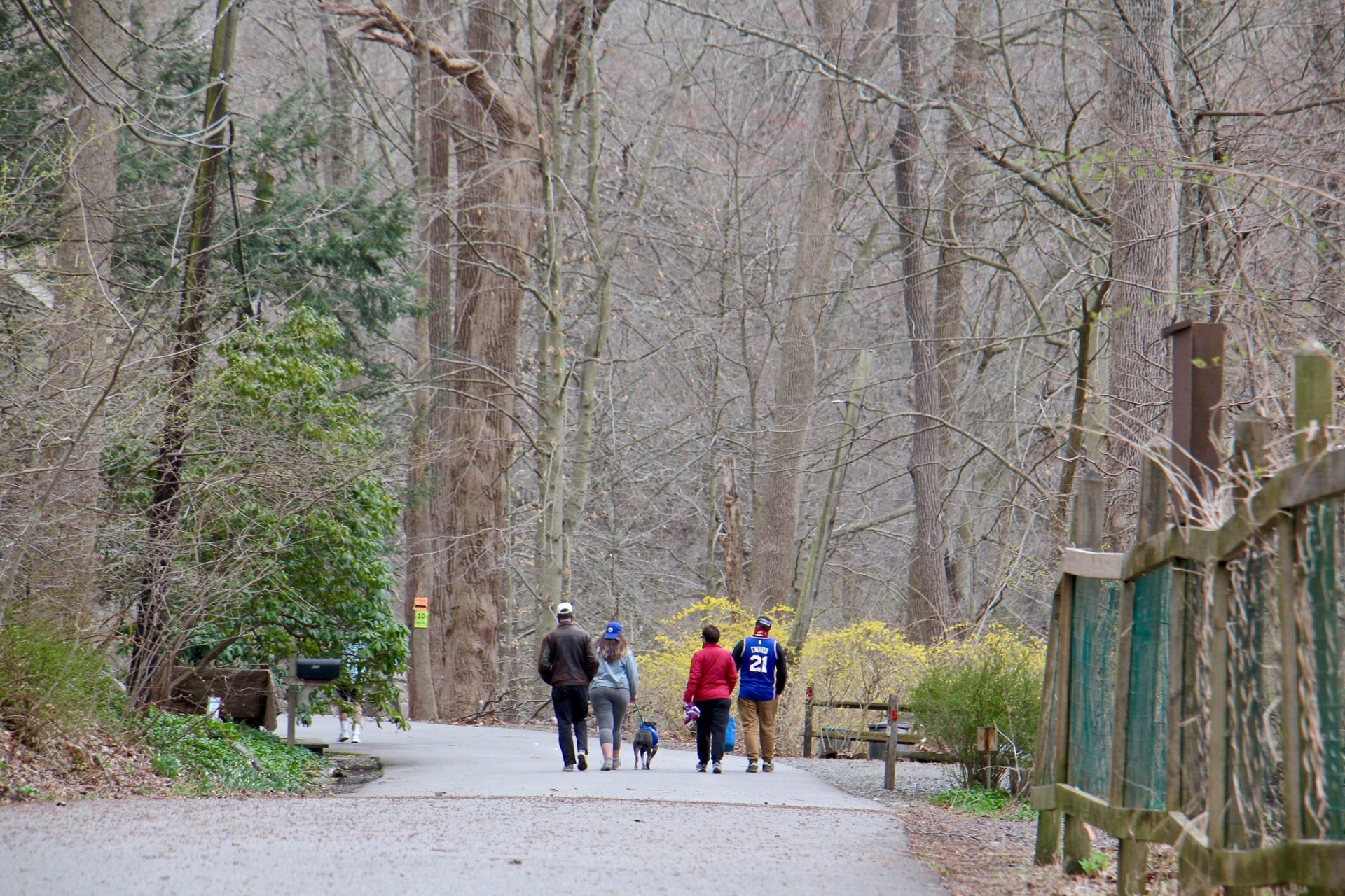 Hikers in Ridley State Park in Media, Pa.