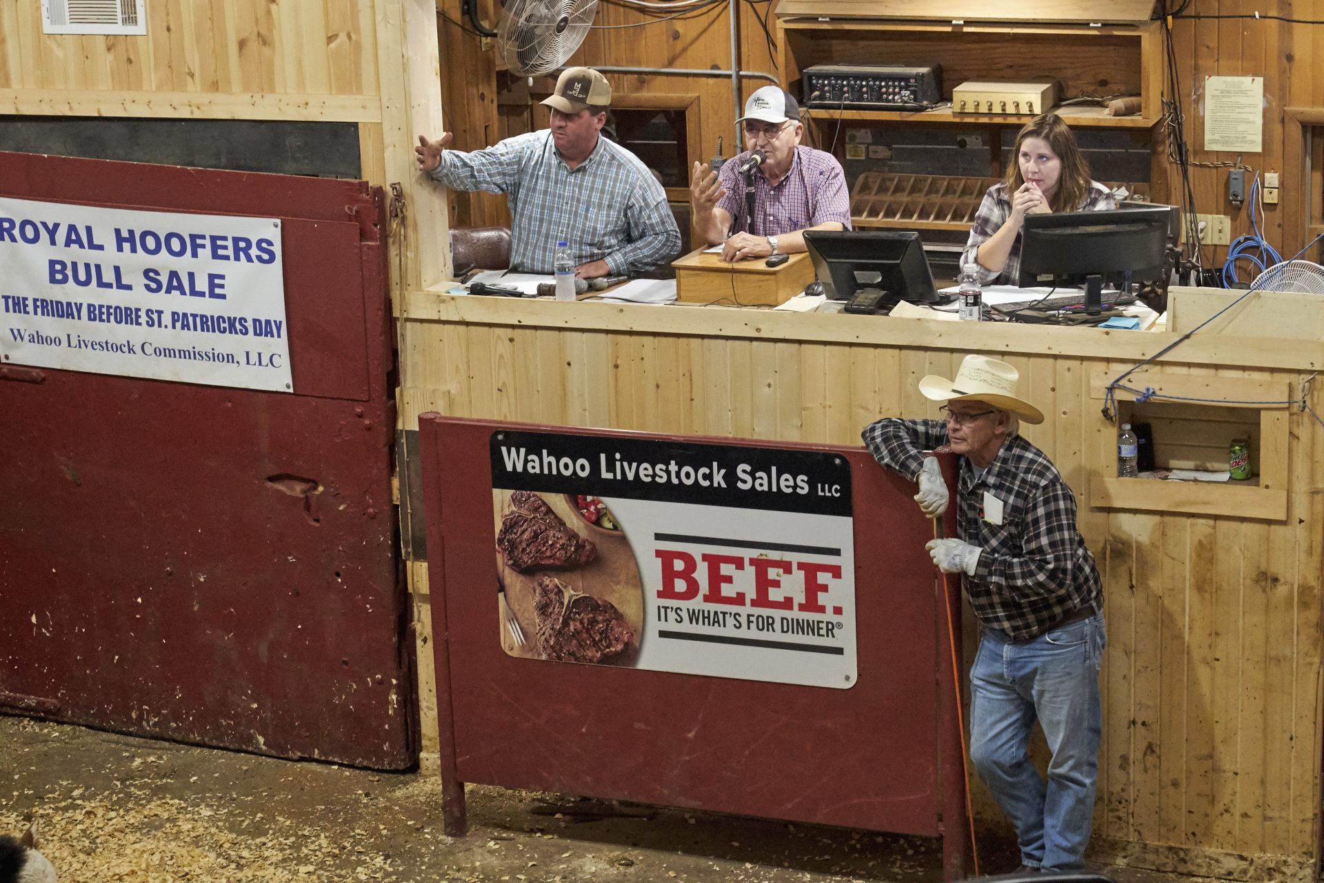 Auctioneers take bids at the Wahoo Livestock Sales cattle auction in Wahoo, Neb., Friday, Sept. 18, 2020.