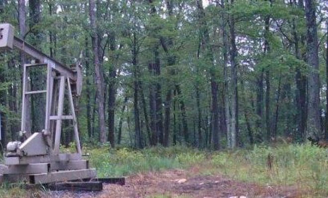 Dead vegetation around a conventional well site in Warren County indicates a possible brine spill.