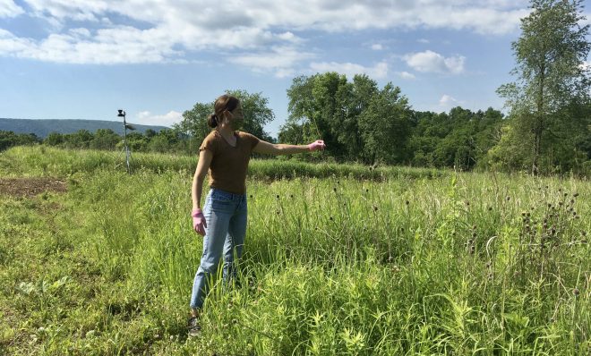 Penn State graduate student Steph Herbstritt at one of the Penn State Institutes for Energy and the Environment research fields in summer 2020. The Institutes hosted the annual Energy Days conference in May 2021.