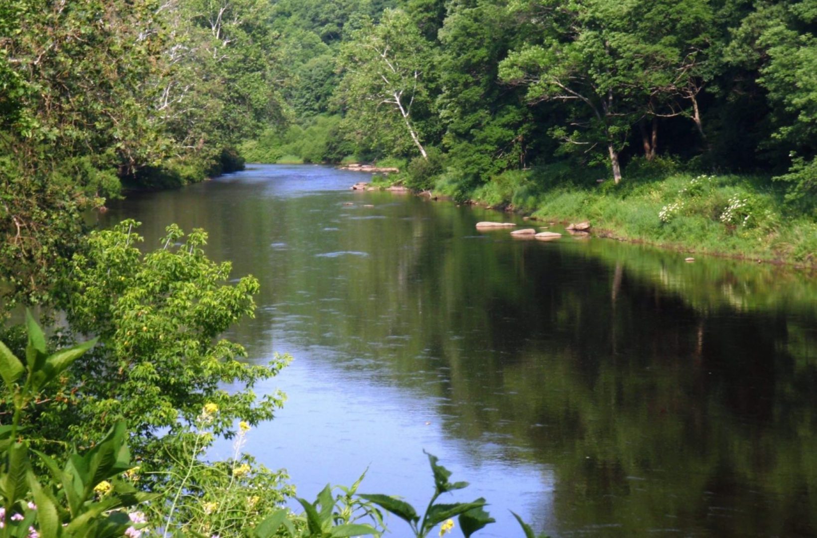 A stretch of land along the Clarion River that will now be part of the Allegheny National Forest. 