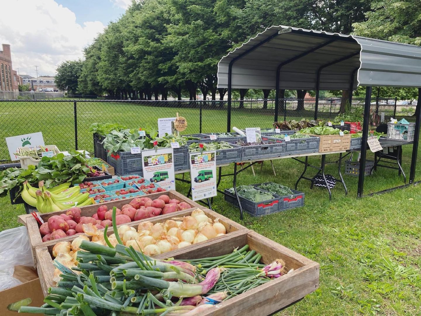 https://www.witf.io/wp-content/uploads/2021/06/York-Fresh-Foods-Farm-market-1440x1080.jpg