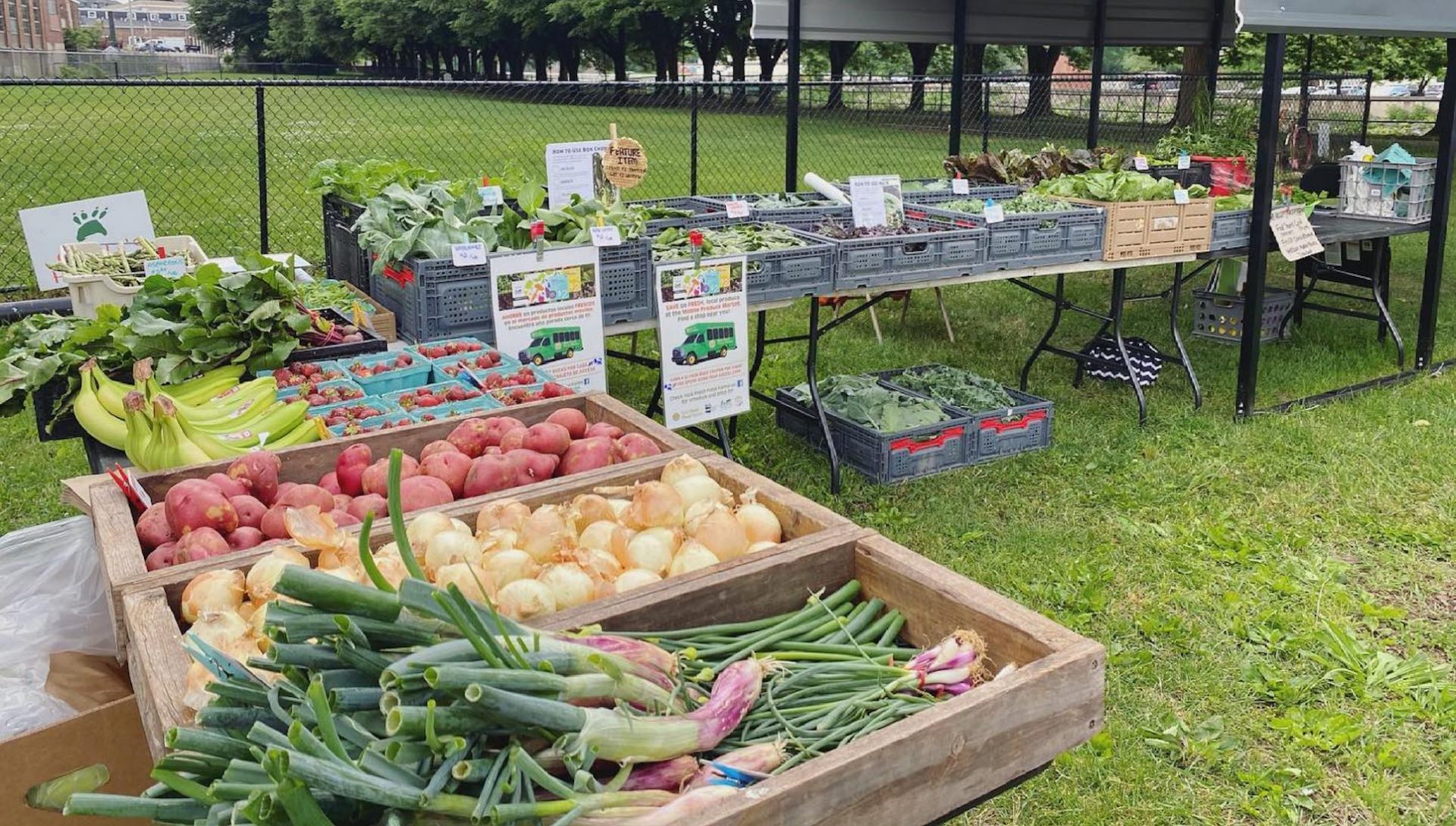 York farm’s mobile market brings fresh produce to foodinsecure neighborhoods WITF