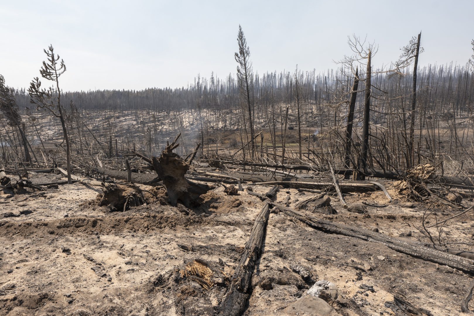Area damaged by the Bootleg Fire smolders near the Northwest edge of the blaze on Friday, July 23, 2021, near Paisley, Ore. (AP Photo/Nathan Howard)