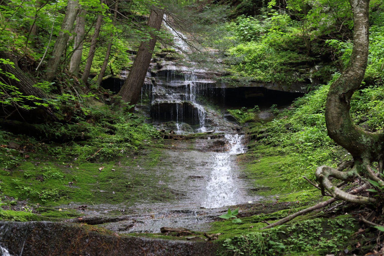 The lowest parts of Turkey Path Trail are along a series of waterfalls at Colton Point State Park. 