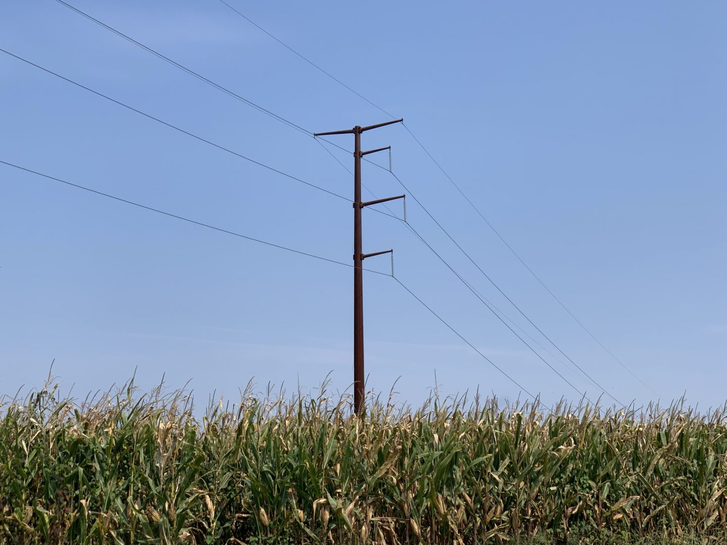 A transmission line stands in a cornfield in Chanceford Township, York County on Sept. 13, 2021.