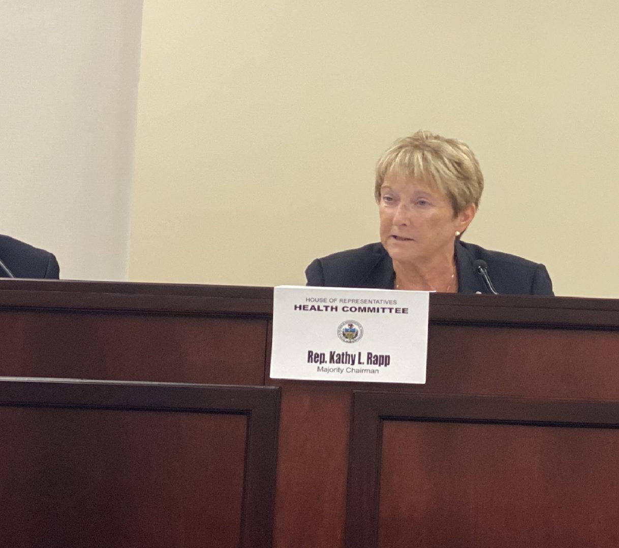 Pa. state Rep. Kathy Rapp, R-Warren, serves as chair of the House Health Committee Tues., Sept. 14, 2021. 