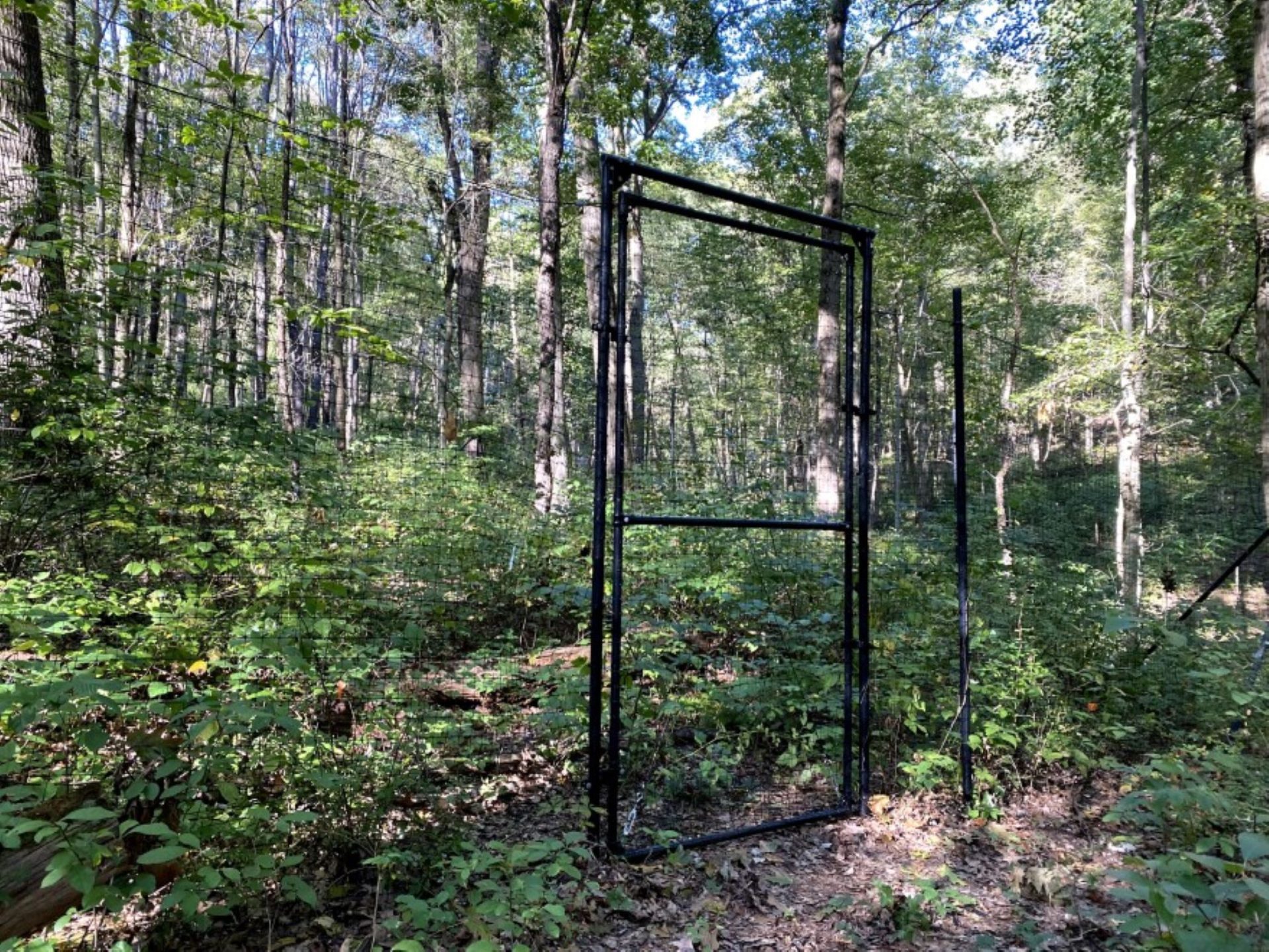 A deer-proof fence used to protect the forests from browsing and give researchers a chance to study forest growth without deer