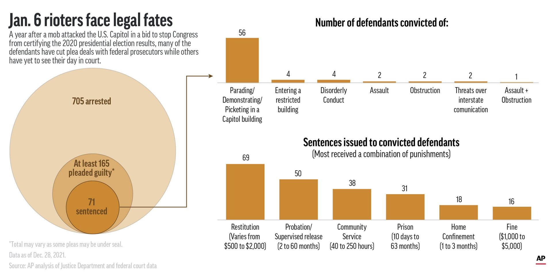 A year after the attack on the U.S. Capitol, a fraction of those arrested have pleaded guilty and been sentenced for their crimes.