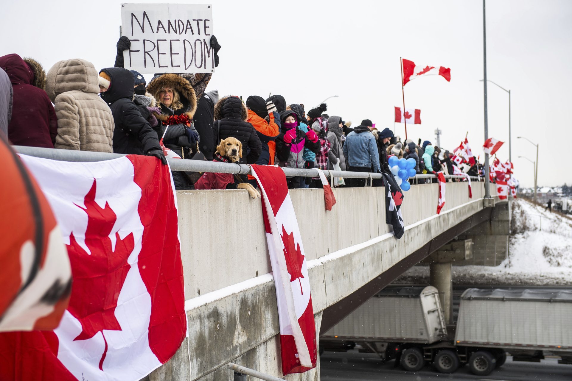 Protestors show their support for the Freedom Convoy of truck drivers who are making their way to Ottawa to protest against COVID-19 vaccine mandates by the Canadian government on Thursday, Jan. 27, 2022, in Vaughan.