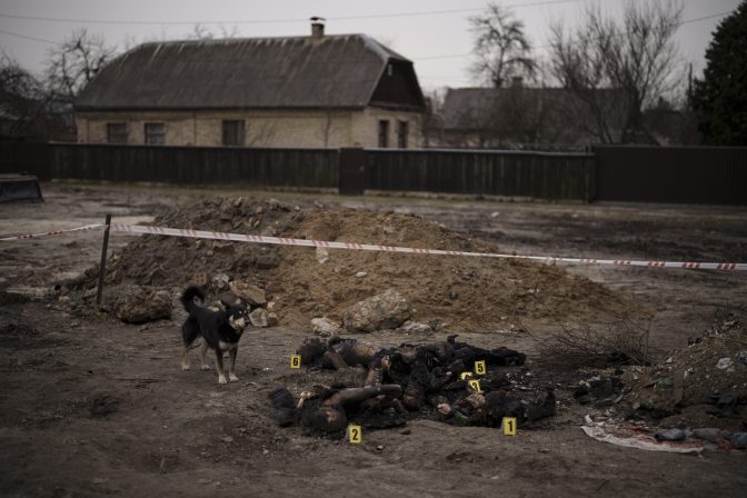A dog stands next to six unidentified charred bodies lying on the ground at a residential area in Bucha, on the outskirts of Kyiv, Ukraine, Tuesday, April 5, 2022.