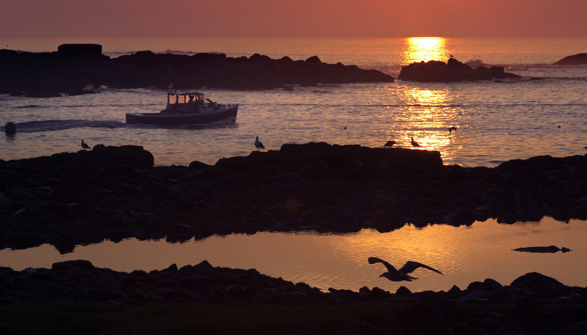 FILE - In this Aug.  17, 2015, file photo, a lobsterman motors through a channel between islands as he leaves Cape Porpoise Harbor at sunrise in Kennebunkport, Maine.  As most Americans brace themselves for losing an hour of sleep, some corners of the country are proposing bold alternatives to daylight saving time.  Lawmakers in a dozen states, from Alaska to Florida, want to abolish the practice of changing clocks twice a year.  (AP Photo/Robert F. Bukaty, File)