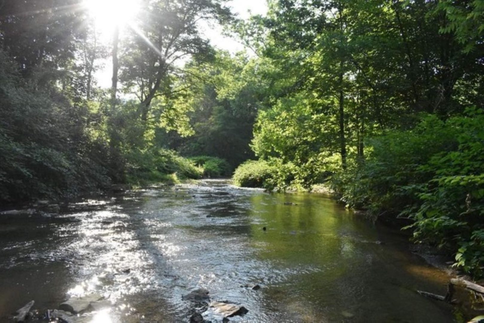 Big Sewickely Creek is stocked with trout by the Fish and Boat Commission. Photo courtesy of Big Sewickley Creek in Beaver County, Pa. 