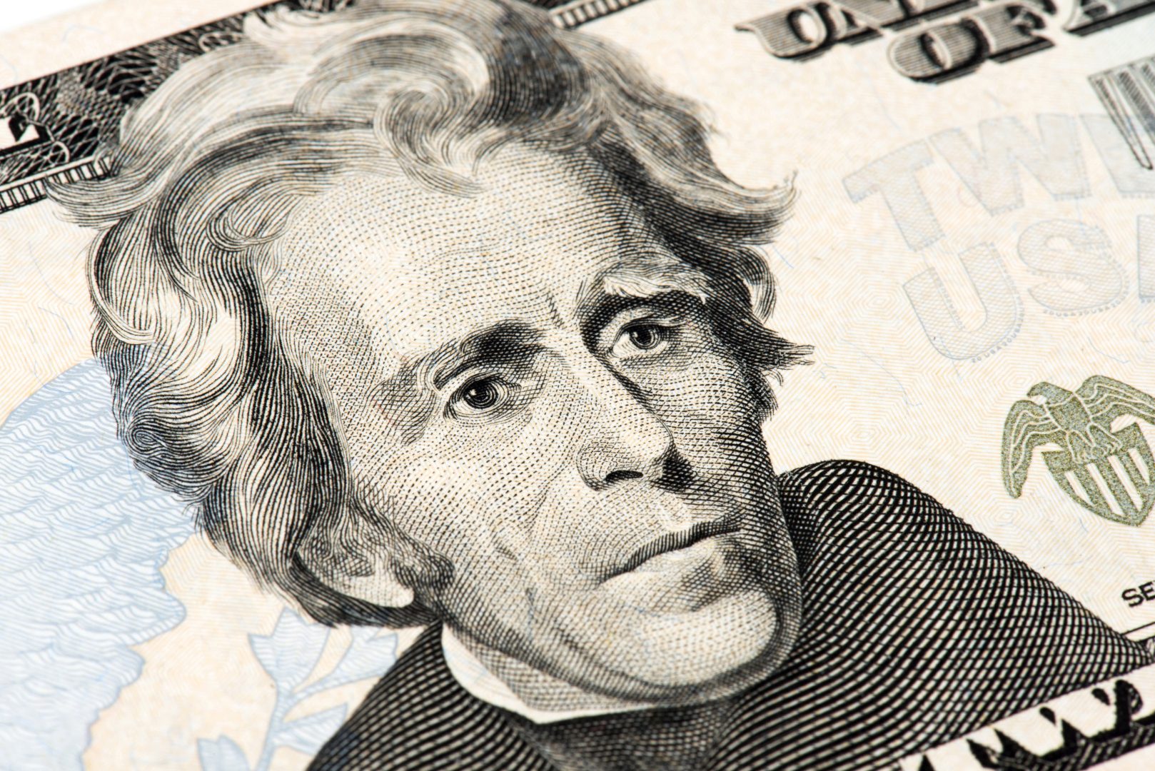 Macro of image the face of Andrew Jackson on the Twenty American Dollar Bill.