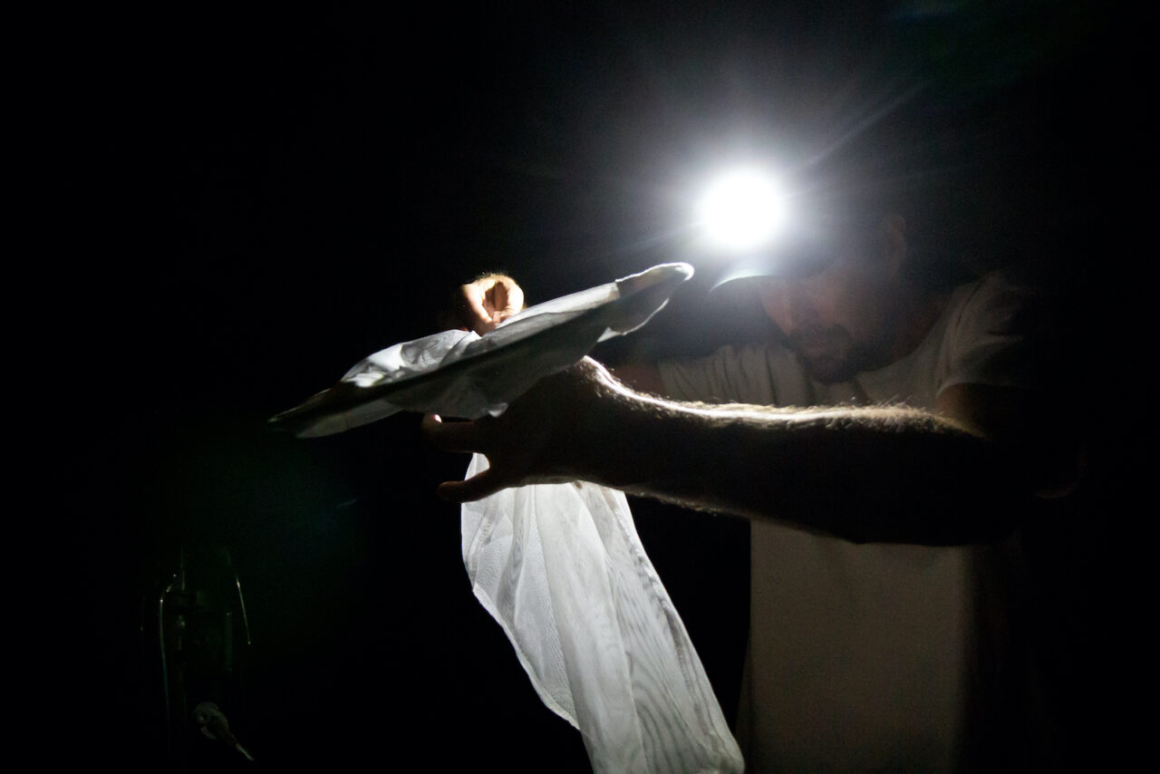 After wildlife biologist Jason Davis catches a firefly that he believes is Photuris bethaniensis, he returns to his truck to try to confirm he's right.  (Kimberly Paynter/WHYY)