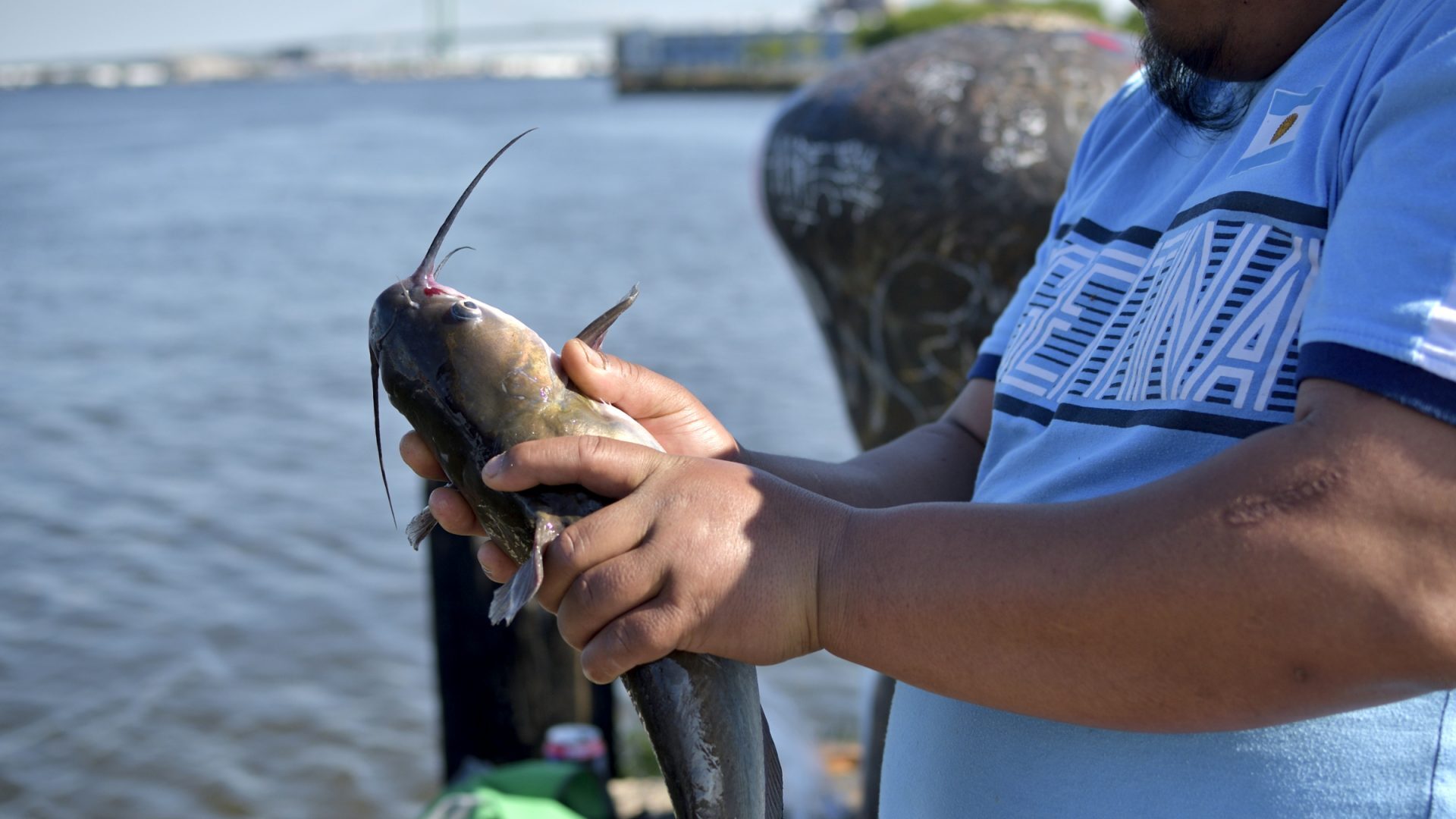 Fishermen share a caught catfish at Pier 60 on the Delaware waterfront, near Tasker Street, in South Philadelphia, on May 12, 2018. For most of the 20th century, there wasn’t enough dissolved oxygen levels in the river to support fish. 