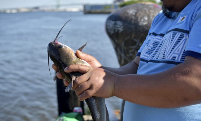 Fishermen share a caught catfish at Pier 60 on the Delaware waterfront, near Tasker Street, in South Philadelphia, on May 12, 2018. For most of the 20th century, there wasn’t enough dissolved oxygen levels in the river to support fish. 