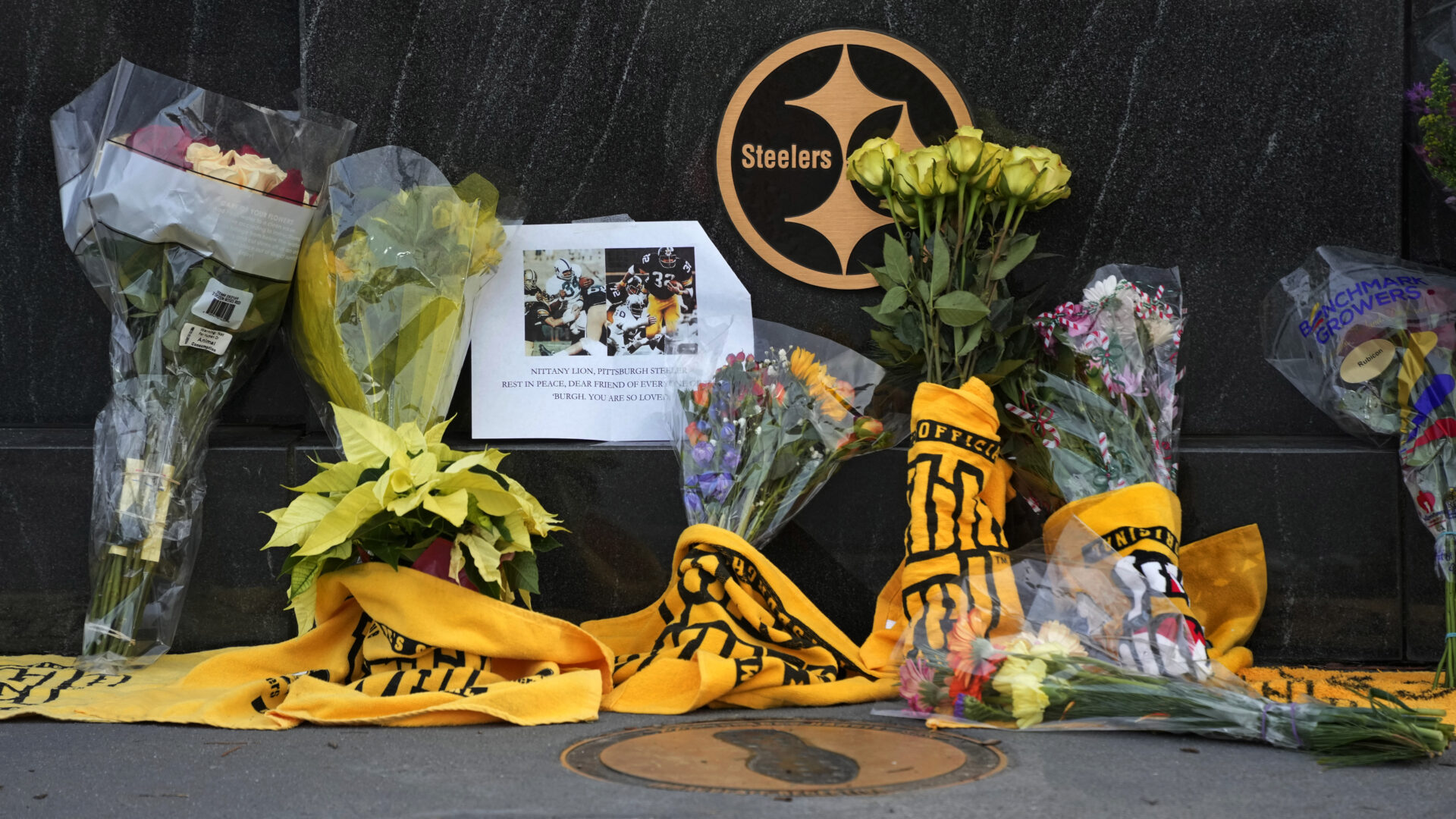 pittsburgh steelers immaculate reception