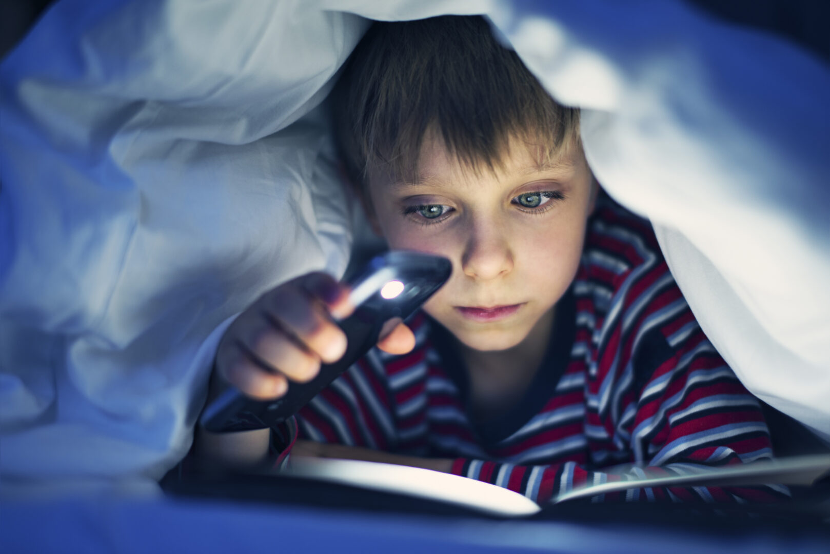 Common Sense Media on AI, Media Literacy and Online Safety