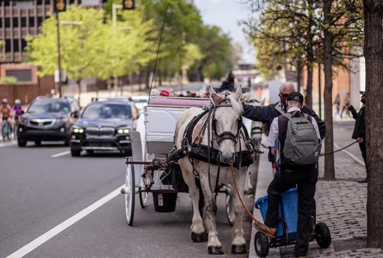 Advocates were beginning to feel optimistic they had won the long-term battle against the equine cabs. But the future of horse-drawn carriages in Philly remains murky