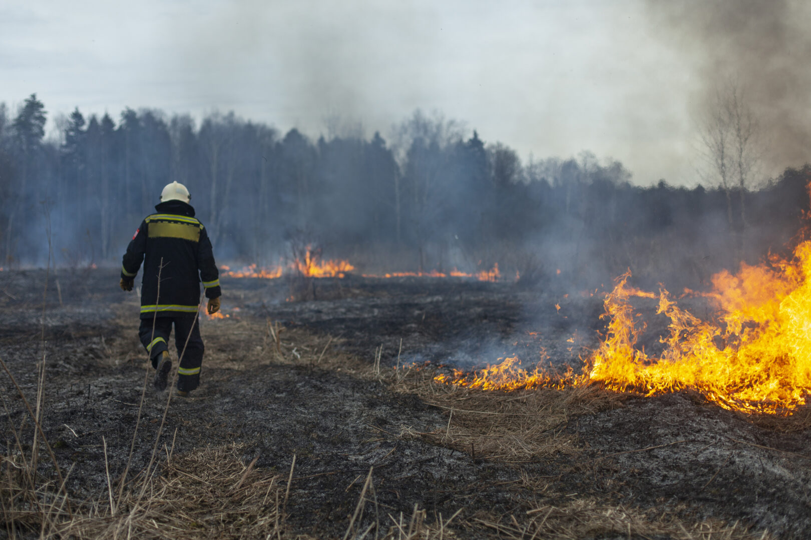 Conditions are right for wildfires in Pennsylvania WITF