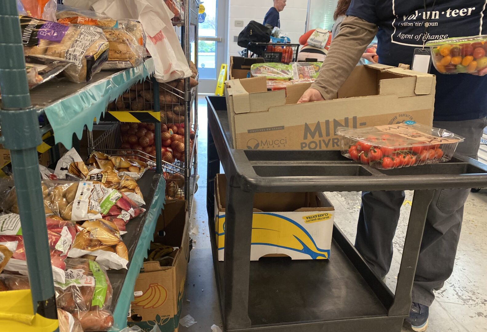 With pandemic SNAP benefits expired, central Pa. food banks see sharp