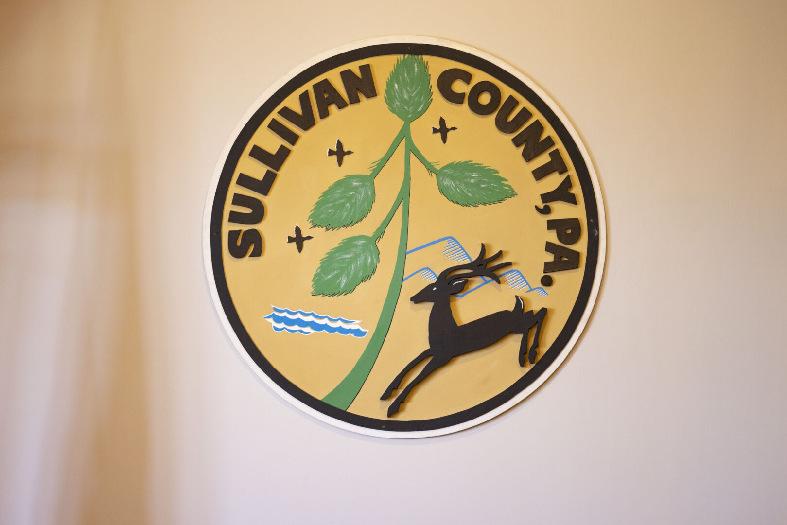 Residents in Sullivan County won’t be able to get grant money from the new Whole-Home Repairs Program after officials there opted out of participating.
