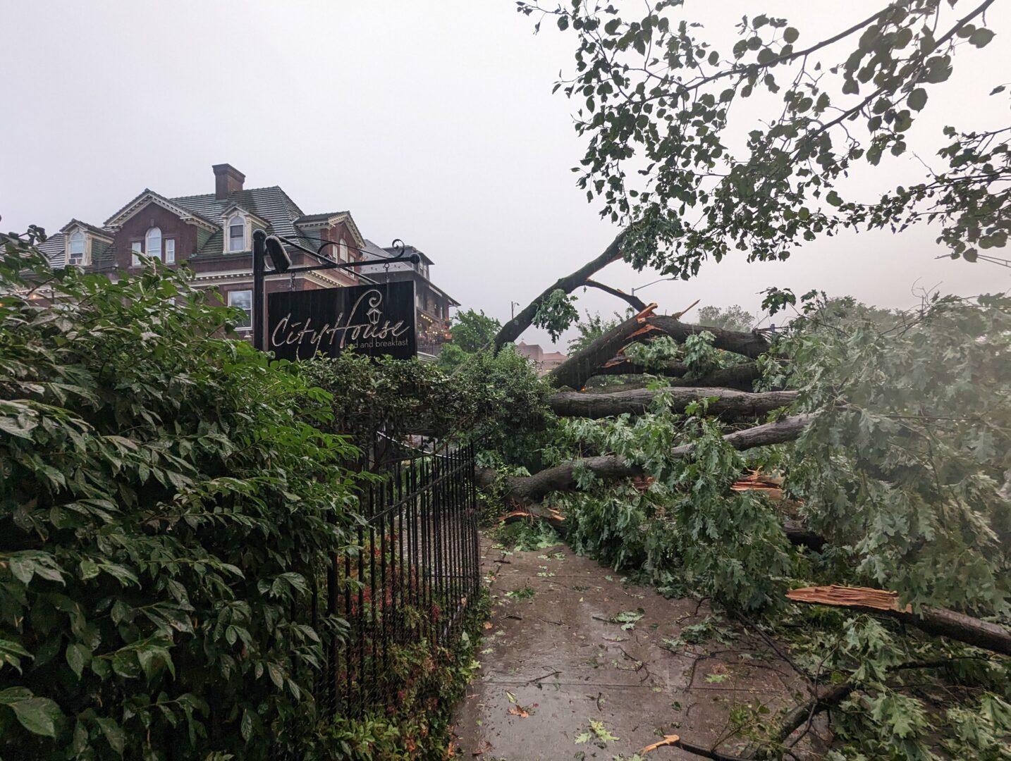 A tree on the lawn of City House Bed and Breakfast fell during an intense storm, temporarily blocking Front Street in Harrisburg, on Saturday, June 3, 2023. Climate change is expected to bring more, and more intense, rainfall to central Pennsylvania.