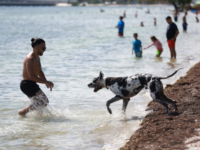 MIAMI, FLORIDA - JUNE 27: Giacarlo Martinez and his dog Bakkhos stay cool in Biscayne Bay on June 27, 2023 in Miami, Florida. Hot summer weather is hitting a large part of the Southern United States. Officials are stressing the importance of avoiding heat exhaustion or heat stroke in dangerous temperatures. 