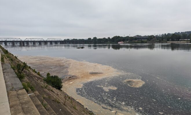 Scum floats on the Susquehanna River in Harrisburg on Aug. 4, 2023. The Susquehanna is the larest tributary to the Chesapeake Bay. 