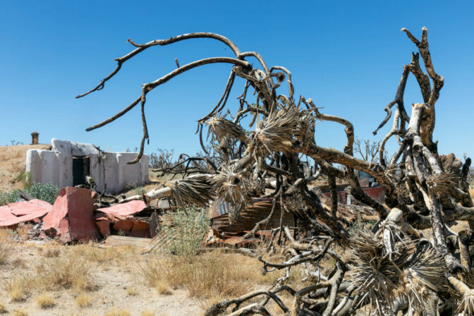 What remains of Valley View Ranch after the Dome fire at Mojave National Preserve in San Bernardino County, California, Tuesday, August, 8th, 2023 Krystal Ramirez/ NPR