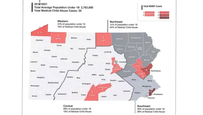 The number of diagnoses of medical child abuse, or Munchausen syndrome by proxy, in each county from 2017 to 2021.