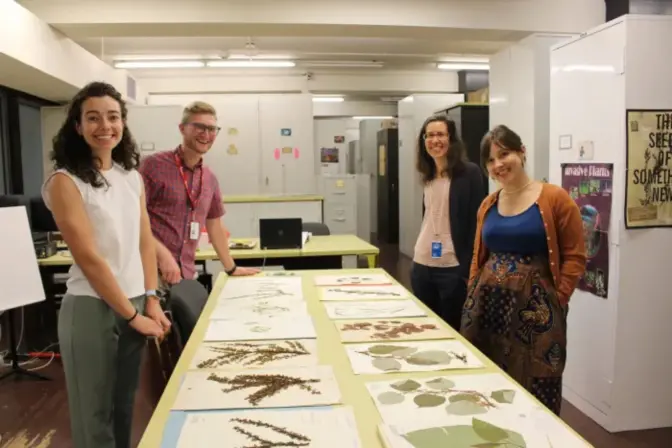 From left, Rachel Reeb, post doctoral fellow, Mason Herberling, associate curator for botany, Laurie Giarratani, director of learning and community, and Sarah Crawford, director of exhibitions and design, at the Carnegie Museum of Natural History.