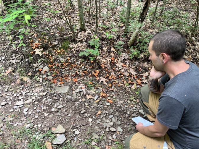 James Bolus, chef and owner of Backwoods Bar and Kitchen, identifies wild mushrooms.