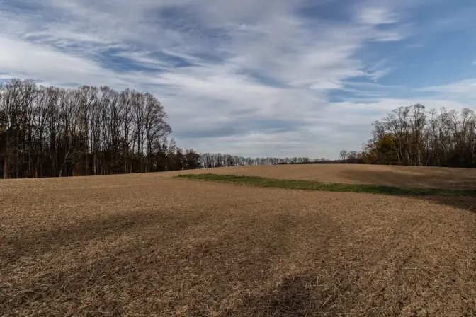 Proposed campsite in Big Elk Creek State Park. (Kimberly Paynter/WHYY)