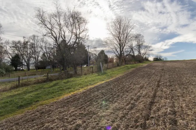 The proposed campsite in Big Elk Creek State Park borders Strickersville Road and is near farms and houses. (Kimberly Paynter/WHYY)