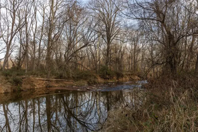 The Big Elk Creek. (Kimberly Paynter/WHYY)