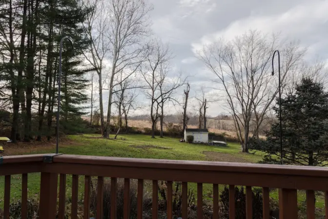 The Big Elk Creek State Park just beyond the backyard of Anteia Consorto. (Kimberly Paynter/WHYY)