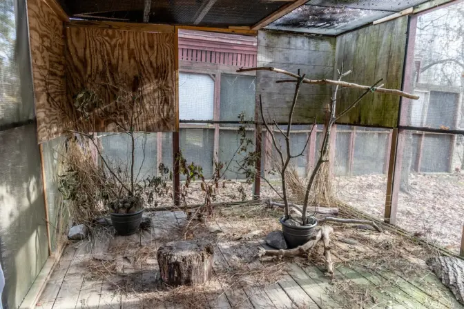 Volunteers at Tri-State Bird Rescue and Research use donated garden items to create realistic habitats for Tri-State’s recovering patients. (Kimberly Paynter/WHYY)