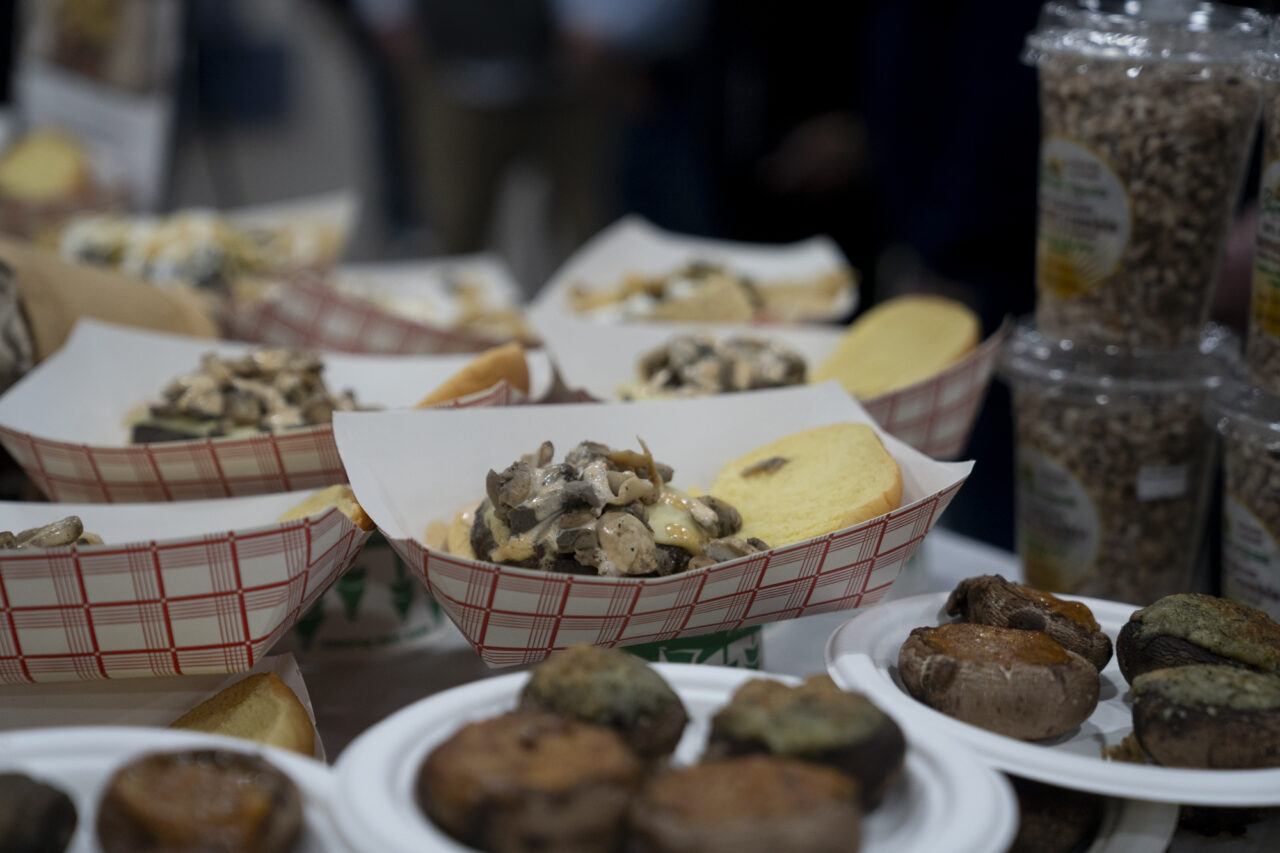 Stuffed mushrooms and mushroom topped burgers served at the 2024 Pennsylvania Farm Show. Ben Wasserstein- WITF