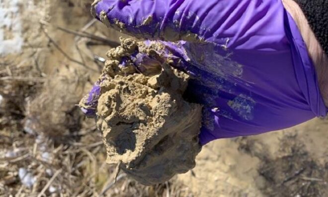 A Pennsylvania Department of Environmental Protection employee wrote in an inspection report on Feb. 16 that they saw a muddy clay-like substance flowing out of a wetland at the site of a previous sinkhole in the area in and around Marsh Creek State Park. (DEP inspection report)

