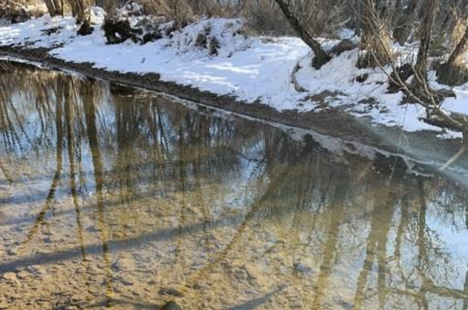 Tributary entering “Ranger Cove” near Marsh Creek Lake. (DEP inspection form)