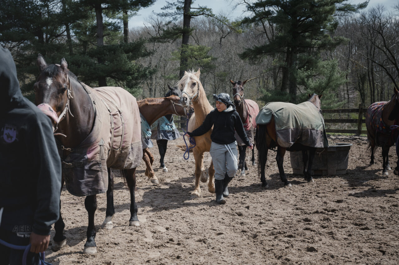 Jor’dyn Williams, 13, walks her horse, Squidward, out of the corrals at the Northwestern Stables in Philadelphia, PA, on Saturday March 30 2024. Williams has been part of the Work to Ride program for three years and joined because she likes being around horses. Hannah Yoon for NPR