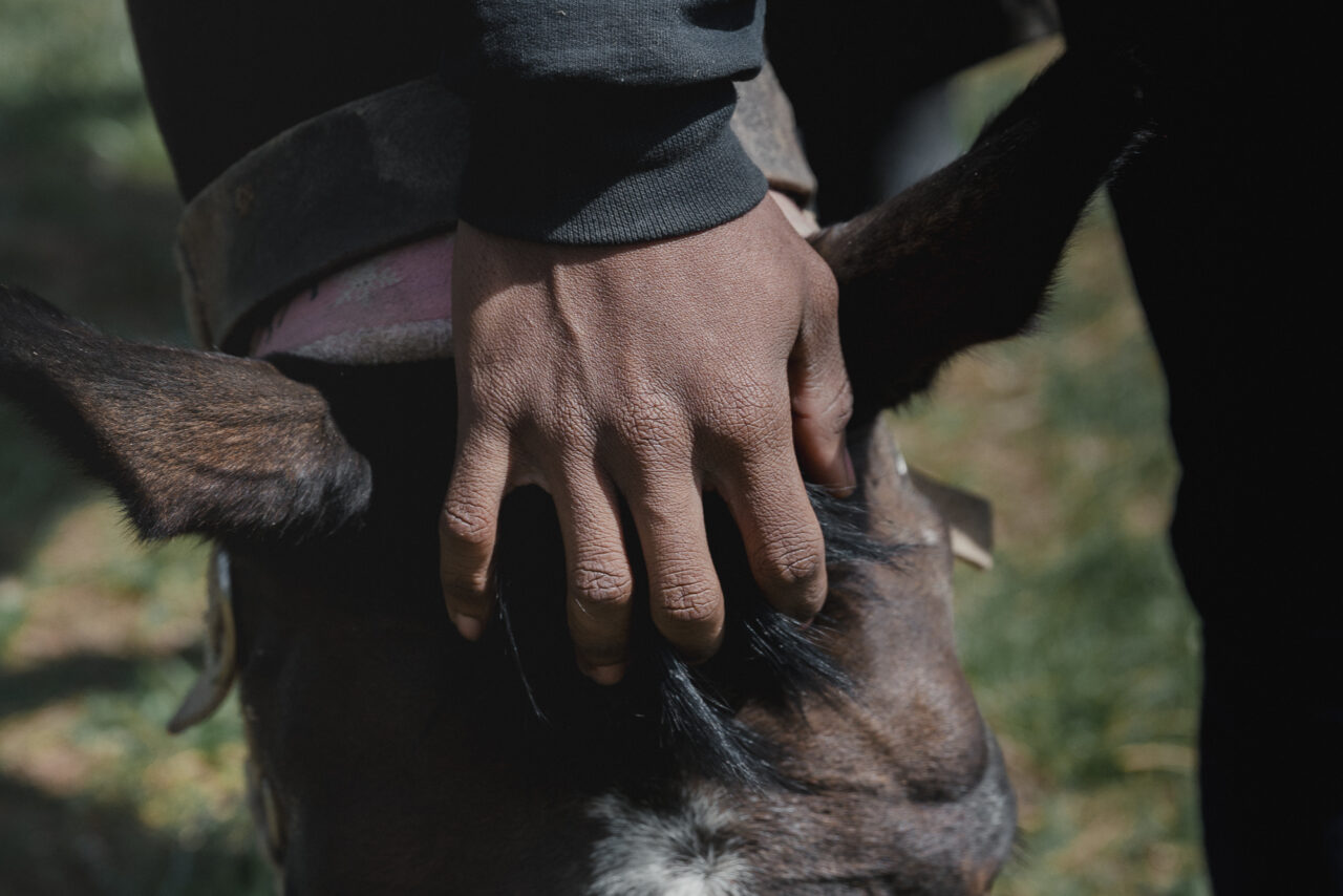 Marcanthony Harley, 17, rubs his horse’s hair at the Northwestern Stables in Philadelphia, PA, on Saturday March 30 2024. Hannah Yoon for NPR
