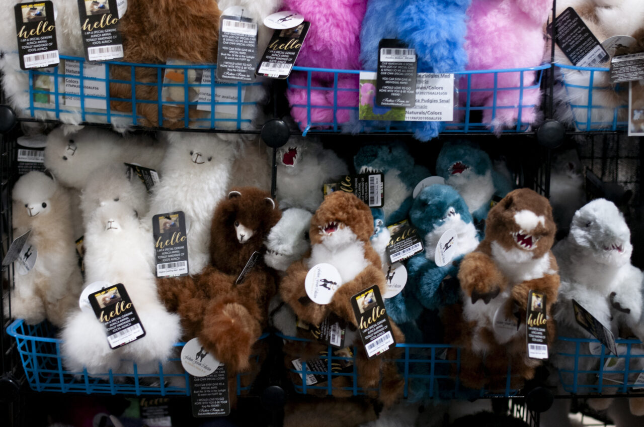 Stuffed animals made out of alpaca fleece on April 5, 2024 at the Eastern Alpaca Jamboree held at the Pennsylvania Farm Show Complex. (Jeremy Long - WITF)