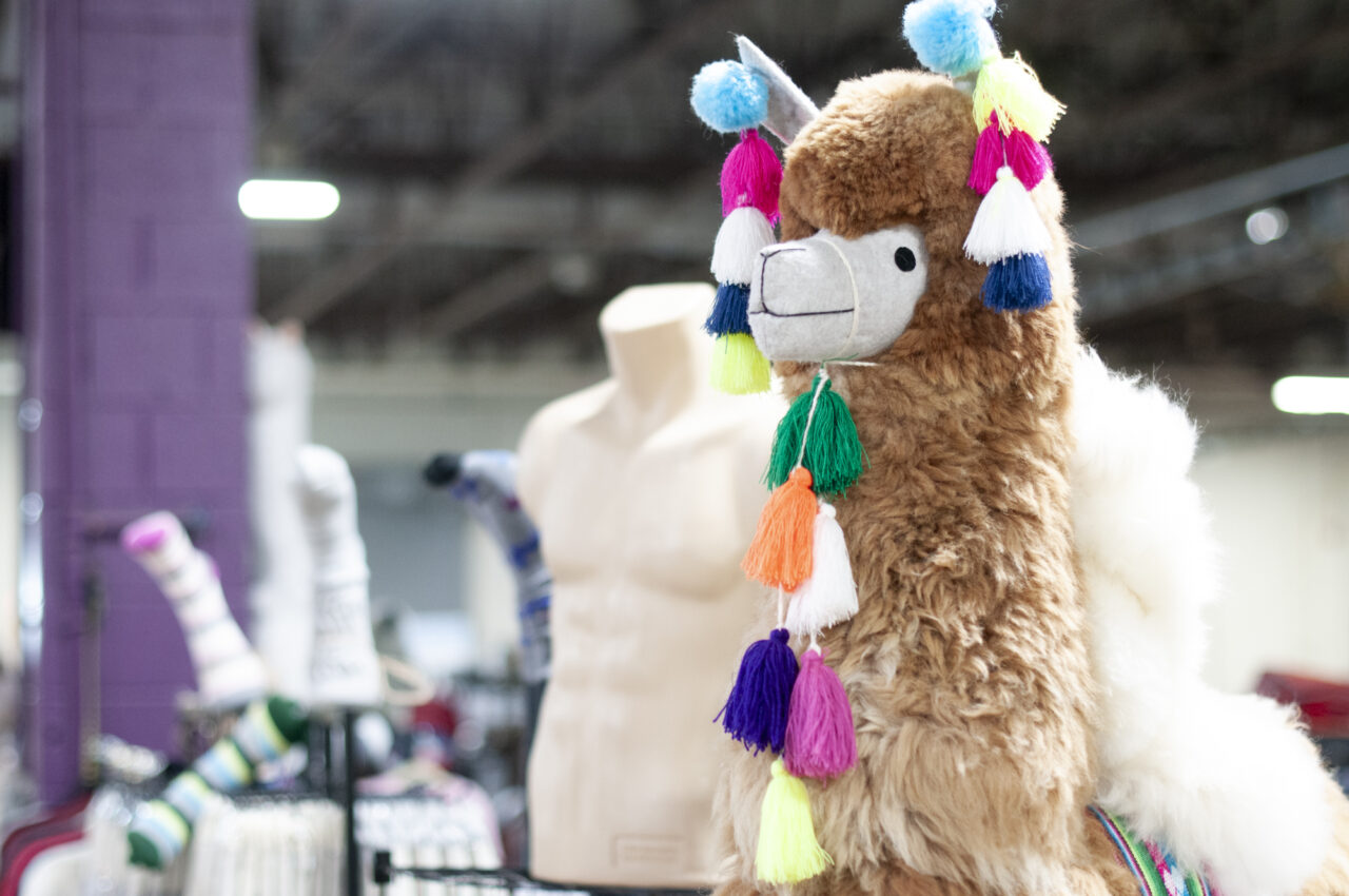 on April 5, 2024 at the Eastern Alpaca Jamboree held at the Pennsylvania Farm Show Complex. (Jeremy Long - WITF)