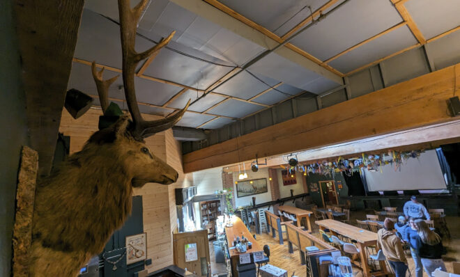 An elk mount surveys the Juice Box Public House music venue. The mount is a holdover from when the building housed an Elks Club. (Jeremy Long - WITF)