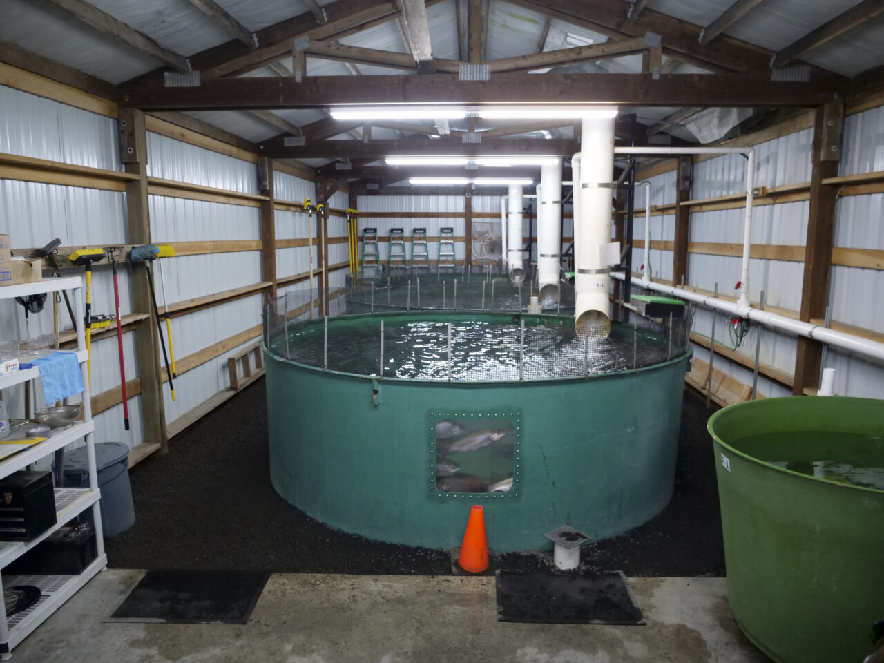 The hatchery at Onalaska High School in Onalaska, Washington on March 5, 2024. (Jeremy Long - WITF)