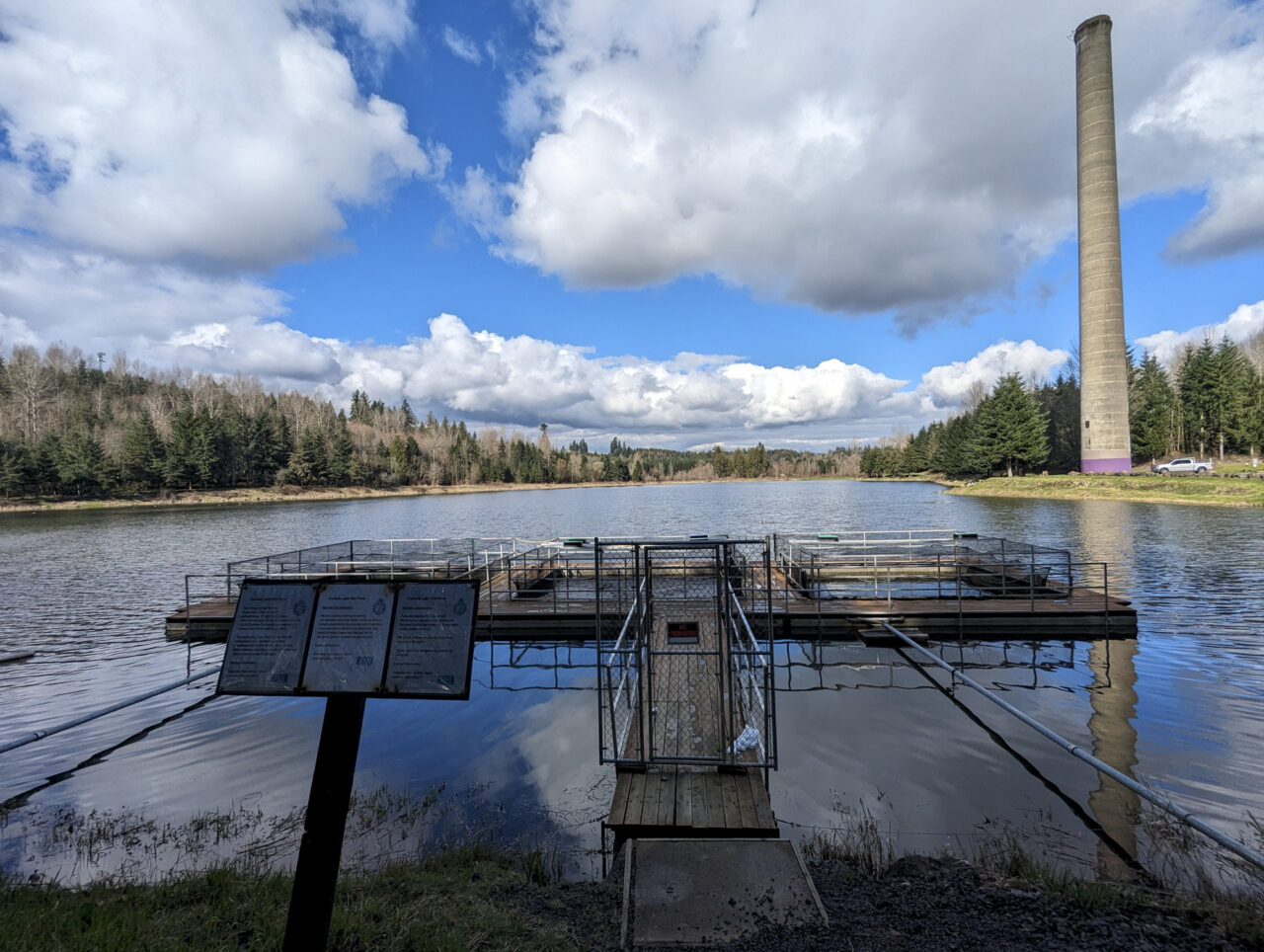 Salmon and trout raised at the Onalaska High School hatchery are transferred to nets at Carlisle Lake, seen here on March 5, 2024. (Jeremy Long - WITF)