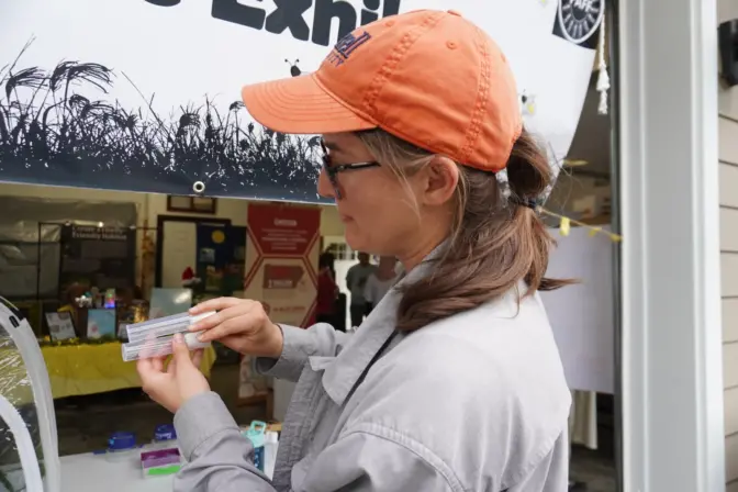 Sarah Lower, an assistant professor of biology at Bucknell University, shows examples of fireflies she is studying on June 28, 2024. Lower's research was the focus of one of the displays at the 2024 Pennsylvania Firefly Festival for her research.